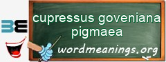 WordMeaning blackboard for cupressus goveniana pigmaea